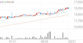 대성홀딩스, +0.31% 52주 신고가