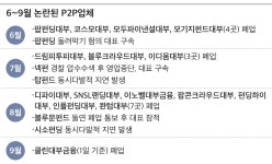 P2P업체, 법 시행 전후 3개월간 15곳 문 닫아… ‘줄폐업’ 현실화