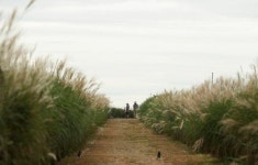 전국 구름 많고 일부 지방에 비… 최고기온 24~30도