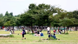 여의도·뚝섬·반포한강공원 밀집구역, 오후 2시부터 출입통제(종합)