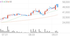 서진시스템, -6.56% VI 발동