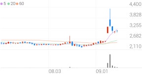 모다이노칩, +4.55% 상승폭 확대