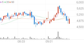로체시스템즈, +4.79% VI 발동