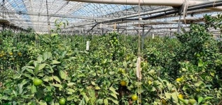 IT 기술 덕분에 스트레스 안받고 농사지어요...김운기 아띠 농장 대표