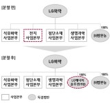 LG화학, 배터리 분사 강행...12월 LG에너지솔루션 출범(종합)
