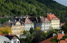 [전태훤의 왈家왈不] 휴거·엘사, 그 다음은?