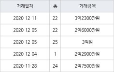 부산 하단동 하단 SK VIEW 아파트 59㎡ 3억2300만원... 역대 최고가