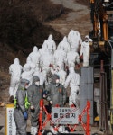 경기 여주서 고병원성 AI 의심 신고…해당 지역 통제