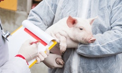 태경비케이, +12.27% 52주 신고가