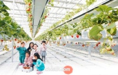 농업용 전기요금 인상 시작됐다...대법원 체험·관광 농업은 일반 전기요금 내야