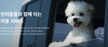 모빌리티 출혈경쟁 앞두고… 카카오, 반려동물 택시도 출사표