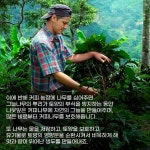 [카드뉴스] 커피회사가 커피 아닌 다른 나무를 심는데 심혈을 기울이는 이유