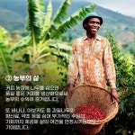 [카드뉴스] 커피회사가 커피 아닌 다른 나무를 심는데 심혈을 기울이는 이유