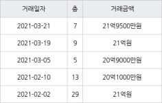 성남 정자동 분당 파크뷰 139㎡ 21억9500만원에 거래
