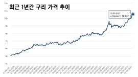 구리 가격, 1년 새 2배 껑충… 전선·제련업계 매출 기대감 ‘쑥’