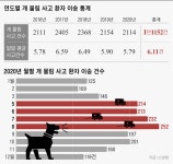 [들개의 습격]① 주인 잃고 맹수가 된 개들… 인간을 위협하다
