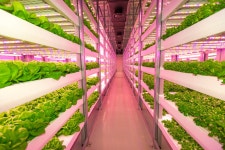 콜마비앤에이치, 스마트팜업체 ‘플랜티팜’에 지분 투자