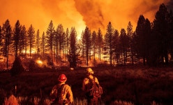 美 오리건주 산불로 서울 면적 2.6배 불타...미국 서부 최소 83개 산불 ‘진행형