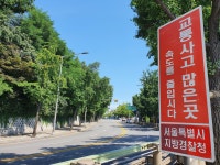 밤마다 자동차 경주장 방불케 하는 남산 소월길… 소음 신고만 매주 70건