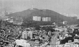 [한국아파트 60년]⑦ 유일한 남산공원 속 아파트 ‘남산맨션’… 건축물대장은 호텔인 미스터리