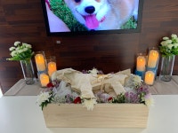 삼베옷 입히고 화장하고 유골함까지… 전국 첫 공립 반려동물 장묘시설 가보니
