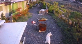 “삽들고 우리집 개 죽이려 해”… 견주가 공개한 CCTV