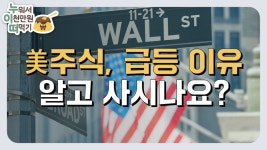 [누이떠] “아직도 한국장 투자하세요? 우량주 국내 수십배인 미국으로 갈 때”