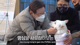이재명 “반려견이 다마고치도 아니고 키우다 버려” 野 “행복이는?”