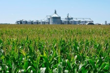 ‘세계의 농장’ 美, 옥수수·대두 수확 시작… 식량난 완화될까