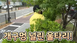 ‘사철나무’ 아파트 울타리 뚫고 외부인 다녀서…권익위, ‘철재 변경’ 조정