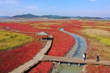 전남 신안에 ‘갯벌 세계자연유산 보전본부’ 입지 확정