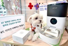 반려동물 성격부터 AI 엑스레이 분석까지… 6兆 펫테크 시장 노리는 통신사