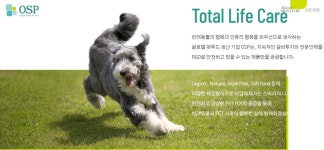 [특징주] 오에스피, 바우와우코리아 인수 소식에 13%대 급등