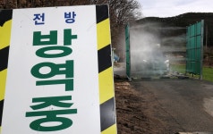 경기 고양 산란계 농장서 고병원성 조류인플루엔자 검출