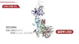 마이크로RNA 수수께끼 20년 만에 풀렸다…치료제 개발 돌파구