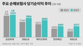 손보사 역대급 실적에 웃는데… 해약 증가에 생보사 울상