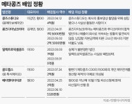 [단독] NFT 기업 메타콩즈 前 임직원, 성매매 혐의 이어 업무상 배임·횡령 의혹