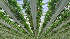 젊은 농부 소득 ‘급성장’… 예산심의 기재부 ‘스마트팜’ 들여다보는 까닭