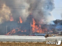 강풍에 다시 확산… 진화 난항, 홍성·대전·당진 산불 이틀 밤 넘길 전망