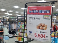 90억 투입한다더니… 아직은 ‘양파’만 할인되는 내수 대책