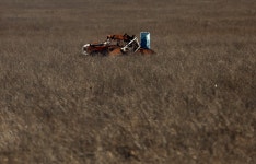 동유럽 연이은 ‘우크라 곡물’ 금수조치에 EU 이례적 추가 지원금 검토