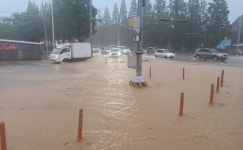 ‘카눈’ 대비해 1만명 대피…KTX 161회 운행 중지, 항공편 337편 결항