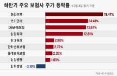 ‘10%대 폭탄배당’ 예고된 한화생명·손보·동양생명... 그래도 증권가는 다른 보험주 추천