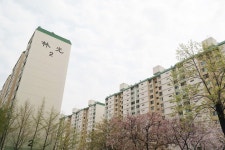 임광 사진 2