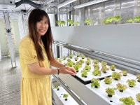 [수출 유망주, 스마트팜]① 냉동 컨테이너 재활용한 스마트팜으로 年매출 26억… ‘도시농사꾼’ 큐브팜 가보니