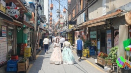 서촌·익선동 보행로 넓히고 특화거리로…양재·개화엔 ‘상징가로숲’