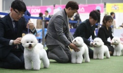 반려동물도 ‘고령화 시대’...제약회사들, 동물의약품·건기식 시장 ‘정조준’