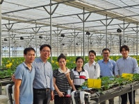 [수출유망주, 스마트팜]⑤ 무더운 베트남에서 겨울 딸기 키우는 비결은… ‘종자부터 기술까지’ 뻗는 K농업