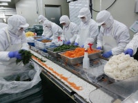 [인터뷰] “美서 열흘만에 250톤 완판”...대박난 냉동김밥 ‘올곧’ 이호진 대표