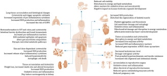 [사이언스샷] 생수 1리터병에서 플라스틱 입자 24만개 검출